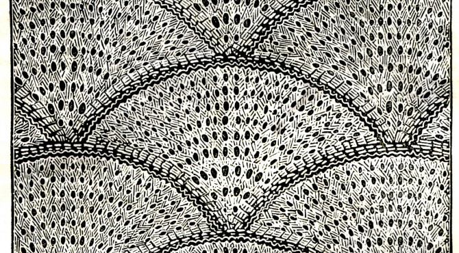 Knitted Counterpane Pattern Illustration