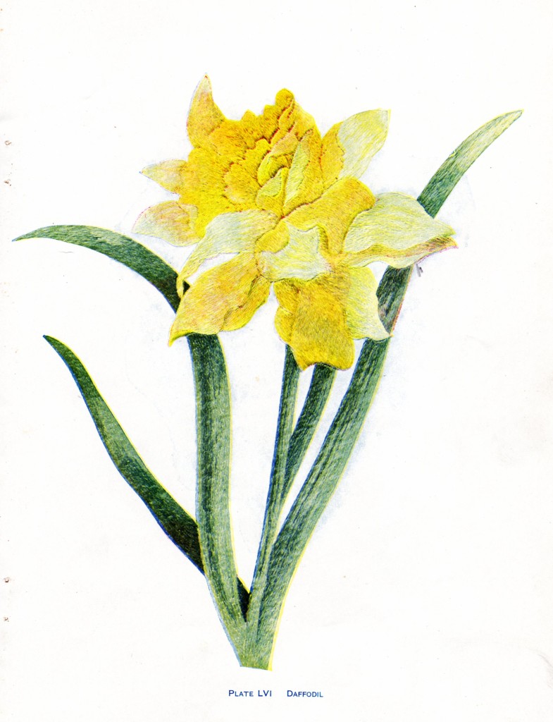 Vintage Crafts and More - Daffodil Silk Embroidery Pattern
