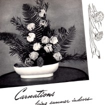 Vintage Crafts and More - Crochet Carnation Pattern