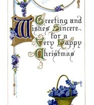 forget me not Christmas postcard