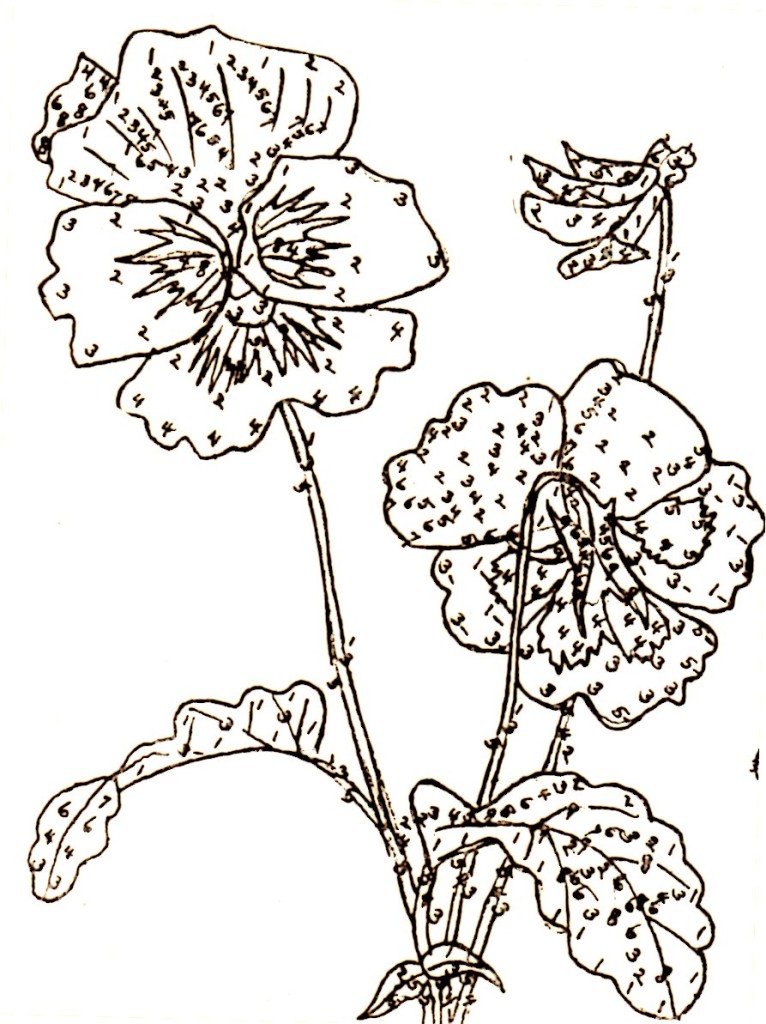 Belding Silks Pansy Embroidery Pattern Detail - Vintage Crafts and More