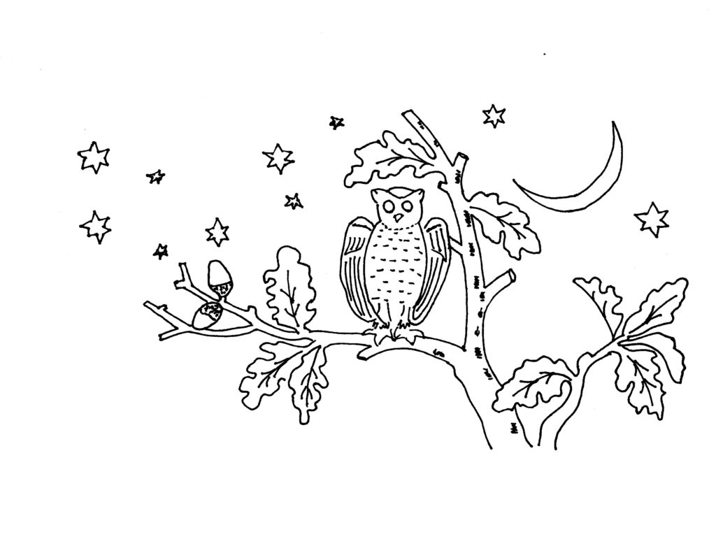 Owl Embroidery Pattern My Drawing - Vintage Crafts and More