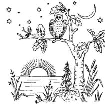 Owl Embroidery Pattern - Vintage Crafts and More