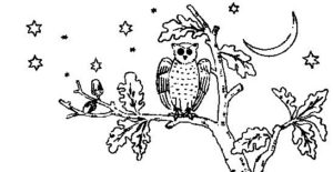 owl-in-a-tree-embroidery-pattern