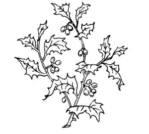 Holly and Berries Embroidery Pattern