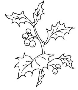 Holly and Berries Hand Embroidery Pattern