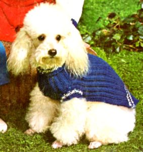 Dog sweater knitting pattern