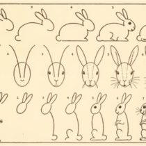 How to Draw Rabbits