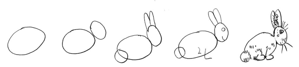 How to Draw a Bunny Rabbit