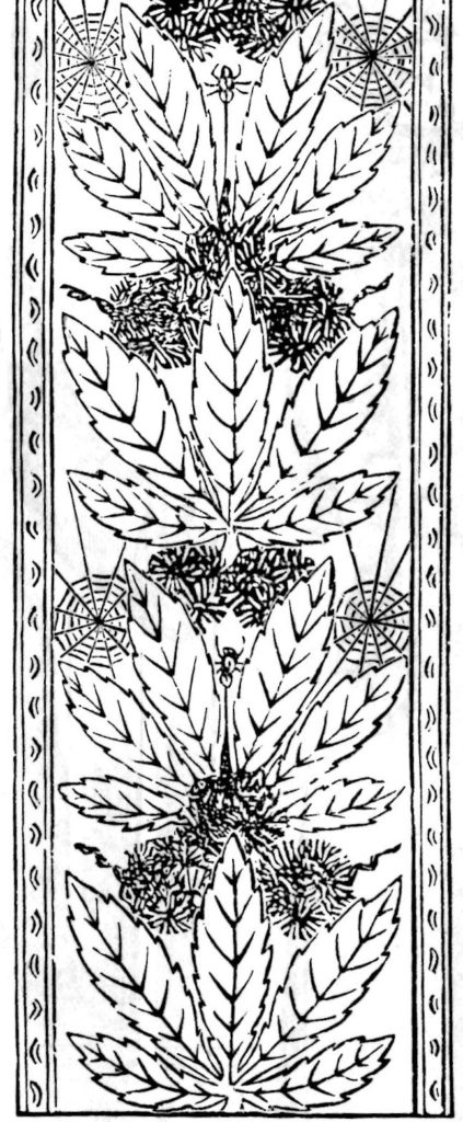 chestnut leaves and burs Victorian era  embroidery pattern