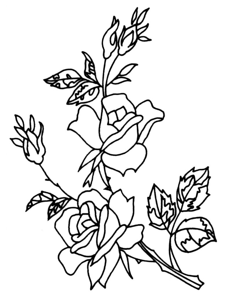 Rose Embroidery Pattern 