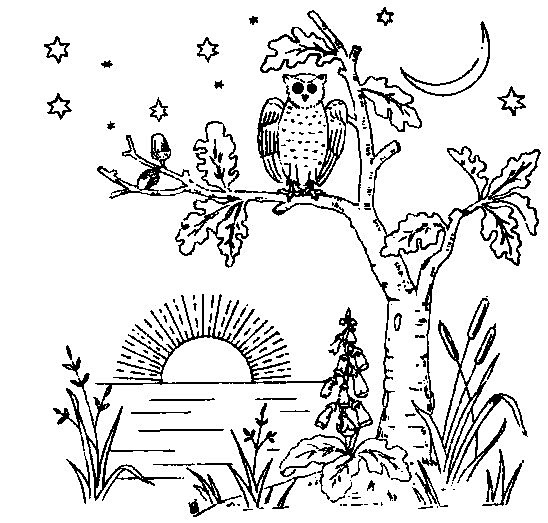 Download Free Evening Owl Embroidery Design or Coloring Page - Vintage Crafts and More